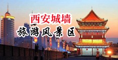 骚货，艹死你，太大了，受不了了啊啊啊中国陕西-西安城墙旅游风景区
